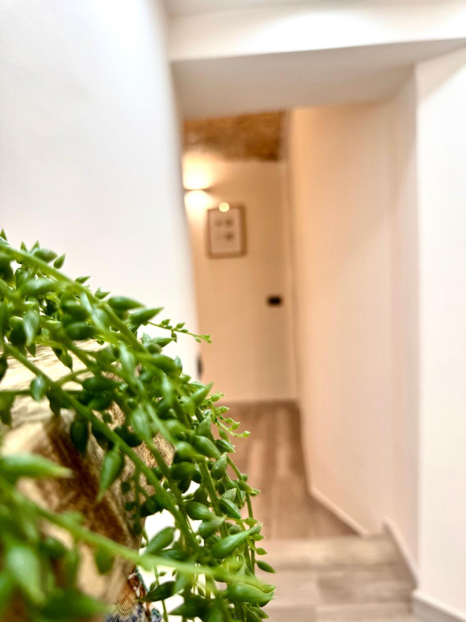 Luxury Stay Palermo Suite Con Spa Privata Vicino Stazione Εξωτερικό φωτογραφία